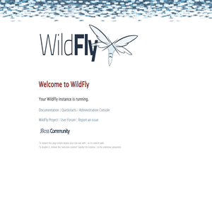 Welcome to WildFly