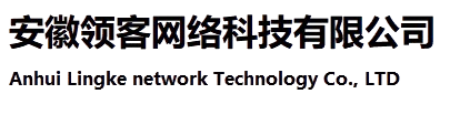 安徽领客网络科技有限公司