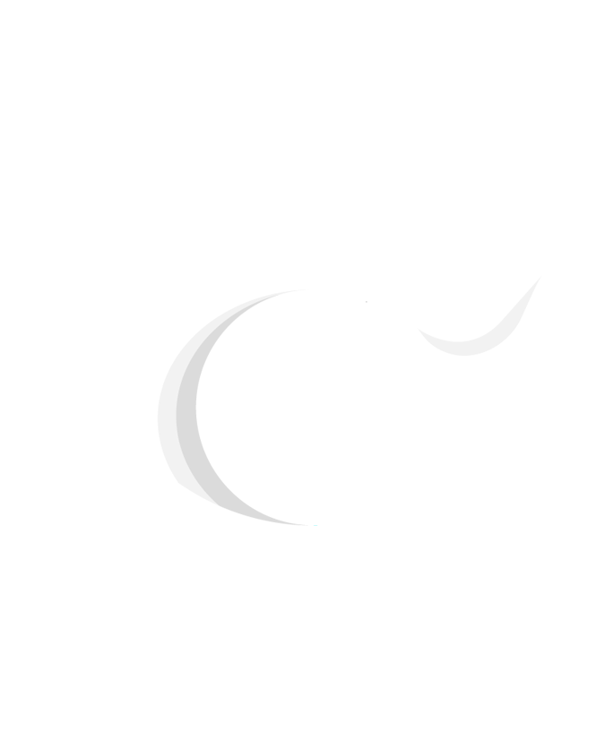 鲸数科技(北京)有限公司